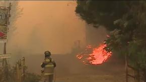 Tohá modera mensaje por origen de incendios forestales Tohá modera mensaje por origen de incendios forestales