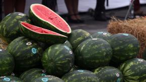 La clave de comer más frutas frente a las altas temperaturas