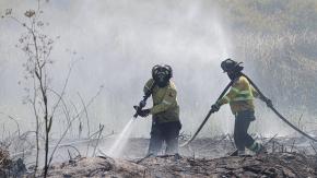 Detienen a dos bomberos por su presunta participación en incendios forestales de Melipilla Detienen a dos bomberos por su presunta participación en incendios forestales de Melipilla