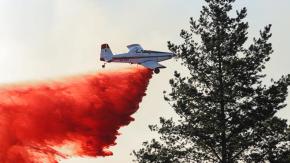 Senapred decreta una Alerta Roja en toda la región del Biobío por incendios forestales: Amenazan sectores poblados