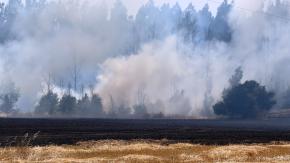 Conaf reporta 22 incendios en combate y 14.654 hectáreas arrasadas por el fuego Conaf reporta 22 incendios en combate y 14.654 hectáreas arrasadas por el fuego