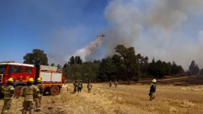 Conaf reporta 13 incendios en combate: El de Traiguén es el que más preocupa Conaf reporta 13 incendios en combate: El de Traiguén es el que más preocupa