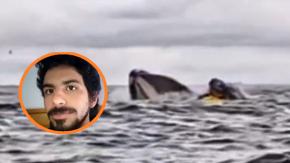 "Pensé que había muerto": Joven "tragado" por ballena relata su experiencia y describe momento en la boca del animal "Pensé que había muerto": Joven "tragado" por ballena relata su experiencia y describe momento en la boca del animal