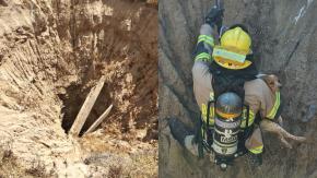 El increíble rescate de una perrita que cayó a una calicata de 30 metros en Coquimbo El increíble rescate de una perrita que cayó a una calicata de 30 metros en Coquimbo