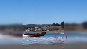 Cobquecura: Video muestra momento en que embarcación impacta a alta velocidad contra surfista Cobquecura: Video muestra momento en que embarcación impacta a alta velocidad contra surfista