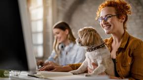 Desde ‘Jeans Day’ hasta jornada con mascotas: Recomendaciones para que la oficina sea más divertida en verano Desde ‘Jeans Day’ hasta jornada con mascotas: Recomendaciones para que la oficina sea más divertida en verano