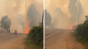 Solicitan evacuar sectores de dos comunas de la región de La Araucanía por incendios forestales