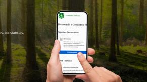 Por corte de luz en 14 regiones: Descarga acá tu salvoconducto por el toque de queda Por corte de luz en 14 regiones: Descarga acá tu salvoconducto por el toque de queda