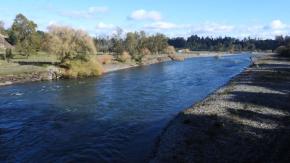 Niño de cinco años murió tras caer al río Rahue en Osorno