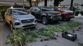 Desmantelan centro de acopio de vehículos robados en Pudahuel