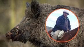 Jabalí mató a hombre de 49 años y sus cuatro perros en zona rural de Argentina: acompañaba a primo y un amigo