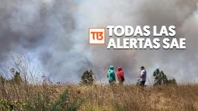 Senapred emite alertas SAE en Biobío y La Araucanía por incendios forestales: Revisa aquí cuáles son los sectores evacuados Senapred emite alertas SAE en Biobío y La Araucanía por incendios forestales: Revisa aquí cuáles son los sectores evacuados