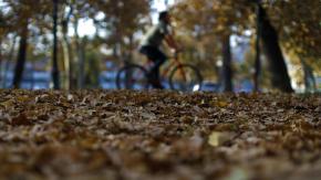 Temperaturas cada vez más otoñales: Revisa el pronóstico del tiempo para este lunes 24 de marzo