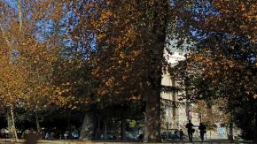 Comenzó el otoño: Revisa el pronóstico del tiempo para este jueves 20 de marzo