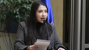 "Reconoce su equivocada reacción": El relato del equipo de la diputada Consuelo Veloso sobre el incidente que la dejó detenida "Reconoce su equivocada reacción": El relato del equipo de la diputada Consuelo Veloso sobre el incidente que la dejó detenida