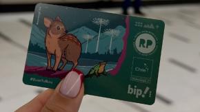 Un pudú y un pingüino: Conoce las nuevas tarjetas Bip y mira cómo conseguirlas antes de que se agoten