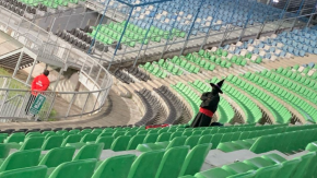 Hincha solitario de Brujas de Salamanca viajó hasta Puerto Montt para ver el debut de su equipo en Segunda División