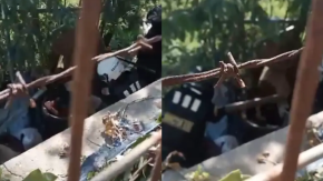 Indigente agredido en Viña del Mar habría tenido conflicto previo con madre de uno de los guardias que lo atacó