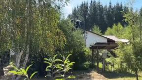 Matrimonio sufre violento asalto en parcela