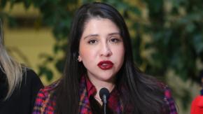 Diputada oficialista Veloso fue asaltada y terminó detenida por conducir en estado de ebriedad Diputada oficialista Veloso fue asaltada y terminó detenida por conducir en estado de ebriedad