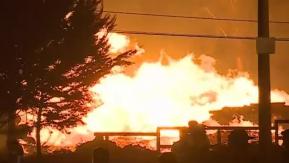 Concejal de Traiguén confirma viviendas quemadas por incendio forestal "Hay muchas casas siniestradas"