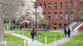 Exalumnos chilenos de Harvard marcan su postura ante las presiones de Trump: Pleno apoyo a la autonomía académica