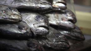 Los orígenes de la tradición de comer pescado para Semana Santa y por qué debería reconsiderarse Los orígenes de la tradición de comer pescado para Semana Santa y por qué debería reconsiderarse