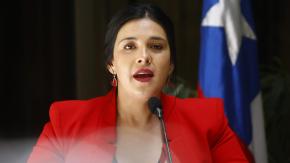 Cariola tras recurrir a la CIDH por allanamiento cuando daba a luz: “Ninguna mujer ni su hijo merecen vivir algo así”