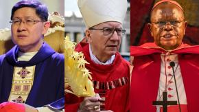 Pugna entre progresistas y conservadores: Los "favoritos" para suceder al Papa Francisco Pugna entre progresistas y conservadores: Los "favoritos" para suceder al Papa Francisco