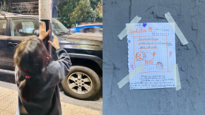 Lo dibujó, hizo afiches con sus manos y los pegó en su barrio: La tierna búsqueda de niña de 8 años de perrito perdido