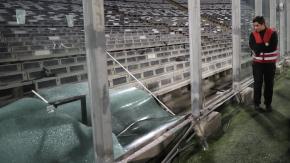 Periodista brasileño mostró impactante fierro con el que barristas de Colo Colo entraron a la cancha Periodista brasileño mostró impactante fierro con el que barristas de Colo Colo entraron a la cancha