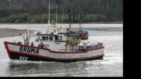 Por qué nadie detectó al Bruma antes de su colisión, según informe de ingeniero naval sobre la tragedia en el Biobío