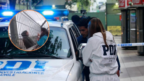 Investigan femicidio y posterior suicidio en Vallenar: Presunto autor se lanzó de un puente