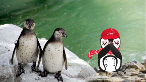 Conoce a “Chiri-Chan”, el pingüino que representa a Chile en la Expo Universal Osaka 2025 Conoce a “Chiri-Chan”, el pingüino que representa a Chile en la Expo Universal Osaka 2025