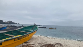 “Con 200 millones por familia se soluciona el conflicto”: las fracturas por Minera Dominga en Punta de Choros