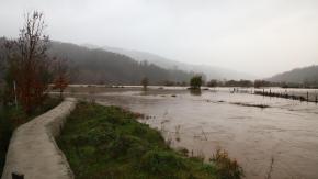 Senapred solicitó evacuar sectores de La Faja y Pichilo por crecida del río Pichilo ”