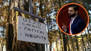 Boric anunció plan piloto para creación de cementerios de mascotas municipales y un registro nacional de maltratadores de animales Boric anunció plan piloto para creación de cementerios de mascotas municipales y un registro nacional de maltratadores de animales