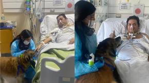 "Volvió a sonreír": Paciente UCI recibió emotiva visita de su perrito 'Toby' en Hospital Dr. Pereira en Valparaíso