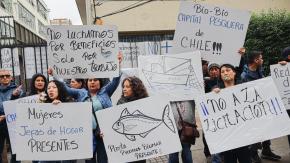 Gremio de pescadores industriales del Biobío respalda a empresas que recurrirán a tribunales por Ley de Fraccionamiento