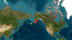 Sismo de magnitud 7,2 sacude Alaska: Emiten alerta de tsunami en costas estadounidenses”