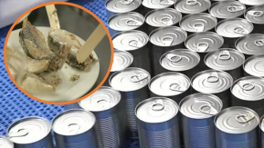 “No es jurel”: Estudios revelan qué especie contienen las latas de 