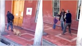 Brutal caso de maltrato animal en Copiapó: Detienen a sujeto que golpeó y azotó a un perrito en la vía pública Brutal caso de maltrato animal en Copiapó: Detienen a sujeto que golpeó y azotó a un perrito en la vía pública