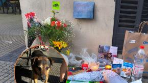 "Duerme más cerca del solcito": Con comida y agua improvisan memorial en la Alameda para despedir al querido perro Oso