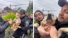 VIDEO | Encuentran con vida a perrita que había desaparecido tras muerte de profesor en Concepción