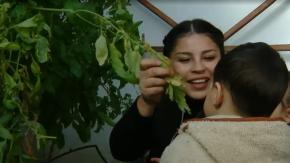 Hasta el 4 de agosto: Abren postulaciones para crear entornos saludables