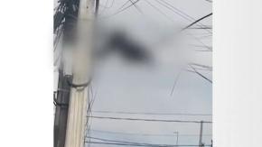 Hombre se electrocutó y quedó "pegado" en los cables: lo acusan de estar robando
