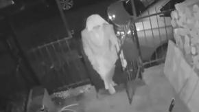 Hombre que quemó la casa de su ex en Santa Juana se disfrazaba de monja para robar