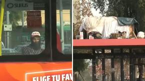 Equipo de Tu Día es amenazado por encapuchados de rucos instalados sobre paraderos: “Son muy agresivos”