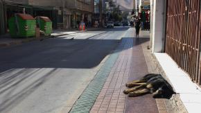 Emiten aviso por altas temperaturas en zonas de la región de Atacama: Termómetros llegarían a los 33°C