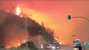 Intensa ola de calor en Europa provoca devastadores incendios forestales